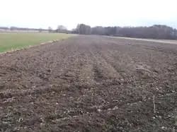 Grunt – Grójec